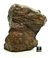 Meteorite NWA 13242 L4 Chondrite meteorite 619 grams