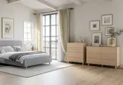 DAY 6 Drawer Dresser