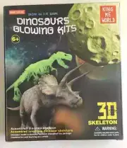 Dinosaurs Glowing Kit 3D Skeleton King Me World Glow in the Dark