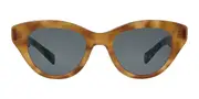 Garrett Leight DOTTIE SUN EMT/SFBS Women’s Sunglasses Tortoiseshell Size 49