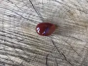 Carnelian Palm Pocket Worry Thumb Stone Fertility Metabolism Manifest Reality