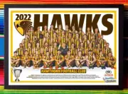 Framed 2022 HAWTHORN HAWKS AFL Poster - 84cm x 59.5cm x 3cm