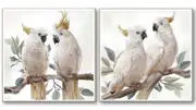 Set of 2 Cockatoo Pair Framed Canvas 82 cm Wall Art