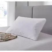 White Goose Feather and down Jumbo Pillow (2-Pack)