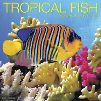 在飛比找博客來優惠-Tropical Fish 2020 Calendar