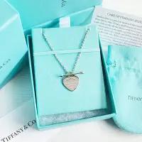 在飛比找Yahoo!奇摩拍賣優惠-美國百分百【全新真品】Tiffany & Co. 項鍊 蒂芬