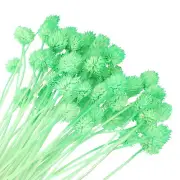 60 Pcs 16 Inch Dried Flowers for Vase Mini Pine Ball Flowers Green(Stem)