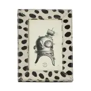 Pigeon & Poodle Hana Dalmatian Print Frame, 4 x 6