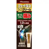 在飛比找DOKODEMO日本網路購物商城優惠-[DOKODEMO] 久光製藥 Feitas Z Cream