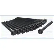 Austral Cylinder Head Bolt Set - 81019800