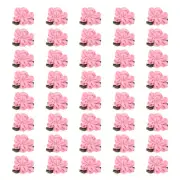 40Pcs 1" Ribbon Flowers Bows Mini Satin Roses Flowers Light Pink