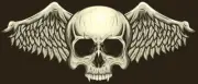 Winged Skull Self-adhesive Vinyl Decal (2 for the price of 1) V-16