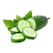 Cucumber - Poinsett seeds