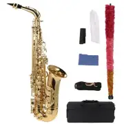 Eb Alto Saxophone Brass Lacquered E Flat Sax 802 Instrument H8M1 F1L5