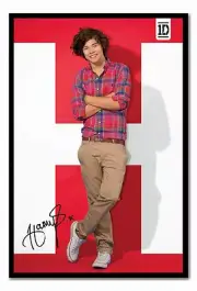 ONE DIRECTION HARRY POSTER FRAMED-1D MUSIC MEMORABILIA