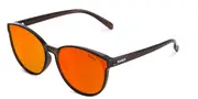 Sinner Kyoto Asian Fit Polarized SISU-906-40-P18 Women’s Sunglasses Brown Size Standard