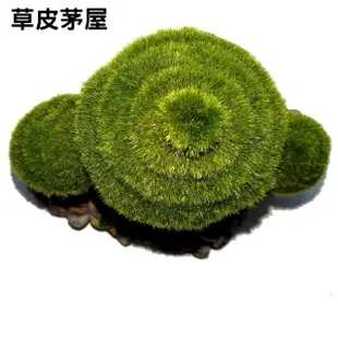 【水族 飾品】仿真草皮茅屋/青苔草屋/仿真造景裝飾/魚缸擺設躲藏(波麗纖維材質151B)