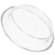 Dish Soap Holder Glass Teapot Top Accessory Strainer Lid Travel