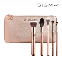 在飛比找momo購物網優惠-【Sigma】流光溢彩刷具五件組 附化妝包 Iconic B