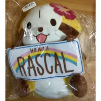 在飛比找蝦皮購物優惠-夏威夷小浣熊 RASCAL 拉斯卡爾