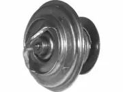 Thermostat For 1978-1980 Ford Fiesta 1.6L 4 Cyl 1979 B777TP (for: Ford)