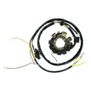 1999-2000 Polaris Sportsman 335 ATV Rick's Electrics Stator