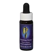 Fes Quintessentials Quaking Grass 7.5ml