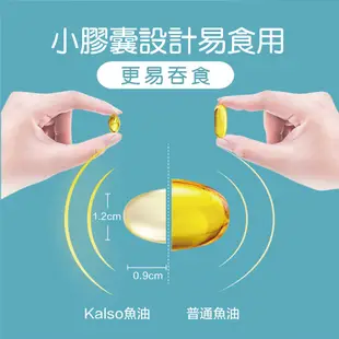 科德司Kalso 魚油軟膠囊 60粒/瓶 天然深海魚油 調節生理機能 維護代謝 德國進口 現貨 蝦皮直送