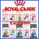 ROYAL CANIN 法國皇家 | 全品項貓飼料 | 貓糧 | 幼母貓|成貓|K36|F32|IN27|IN+7|翔帥(1999元)