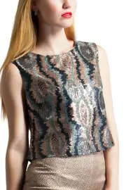 Pull Over Formal Blouse