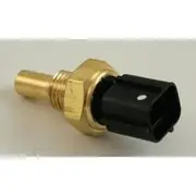 RAE Coolant Temperature Sensor - CS891