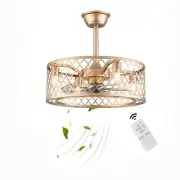 Kreiaoer 20" Gold Caged Ceiling Fans with Lights and Remote Control