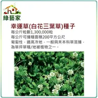 在飛比找Yahoo奇摩購物中心優惠-【綠藝家】幸運草(白花三葉草)種子1公斤