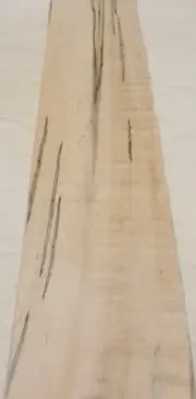 Spalted Ambrosia Wormy Maple Figured wood veneer 6" x 31" no backing 1/42" thick