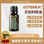 多特瑞 尤加利精油 L DOTERRY EUCALYPTUS RADIATA 15ML