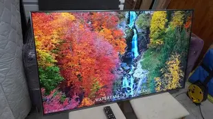 Panasonic 國際牌 55吋 4K 智慧聯網 液晶電視 TH-55FX700W