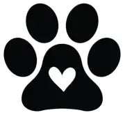 Car decal cup decal small Will Be Made With White Vinyl. 3 1/2 Inch