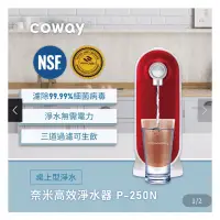 在飛比找蝦皮購物優惠-【Coway】奈米高效淨水器P-250N(DIY自裝組/免鑽