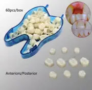 Dental Resin Realistic Porcelain Temporary Teeth Crown Anterior/Posterior Teeth