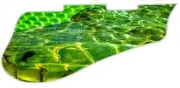 Pickguard Pick Guard 5120 Graphical Graphic Guitar Snake Green