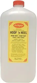Dr. Naylor Hoof n' Heel (1 Gallon) - Traditional Foot Rot Treatment