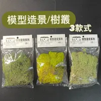 在飛比找蝦皮購物優惠-『ZSARTSHOP』台灣製 景觀模型 樹叢 模型材料 造景