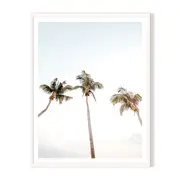 3 Palms Framed Printed Wall Art - White