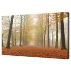 Autumn In The Forest Leaves Wall Art Canvas Unframed Print Art