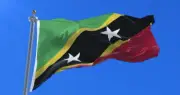 NEW ST. KITTS AND NEVIS 3x5ft FLAG superior quality fade resist us seller