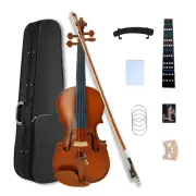 1/2 Violin Kit with Bow Case Shoulder Rest and Rosewood Fittings for Beginners