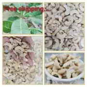 Cashew Nuts Whole Fresh Unsalted taste premium quality grade Ceylon natural pure