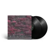 Even In Arcadia (Vinyl)