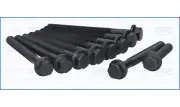 Cylinder Head Bolt Set FIAT PANDA 903cc 45 020AA.020 (1989-)