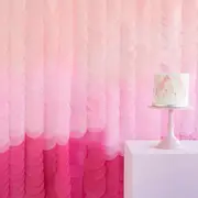 Ginger Ray Mix It Up Pink Ombre Tissue Paper Disc Backdrop